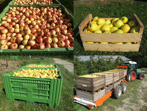 travail saisonnier Haute-Savoie